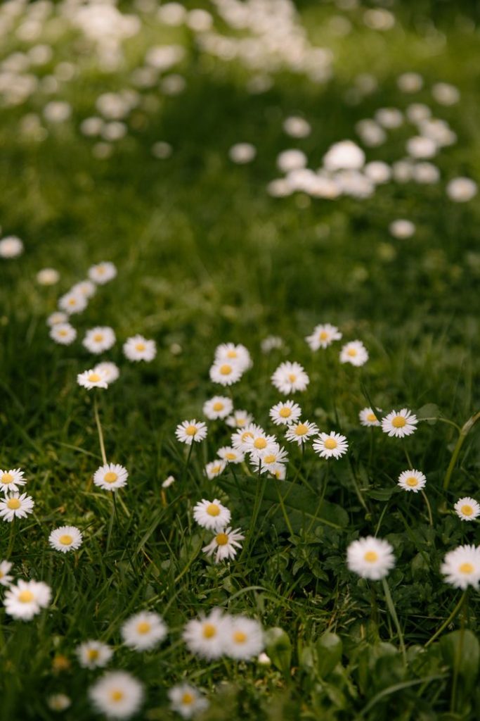 What I've learned after 15 year's of living with Hashimotos Disease