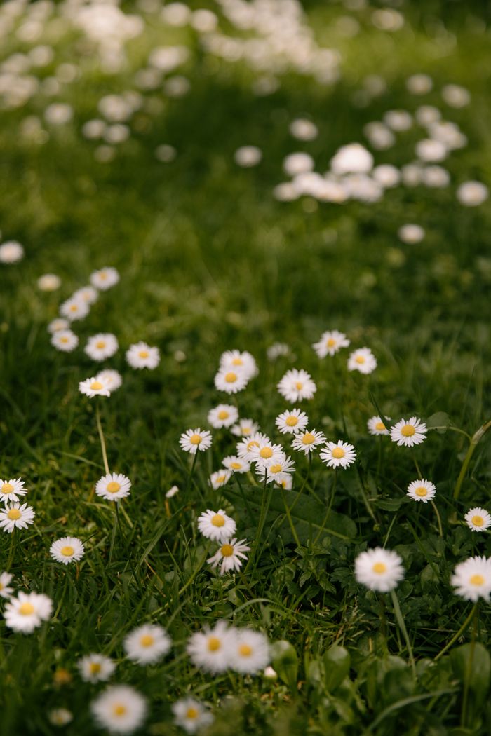 What I've learned after 15 year's of living with Hashimotos Disease